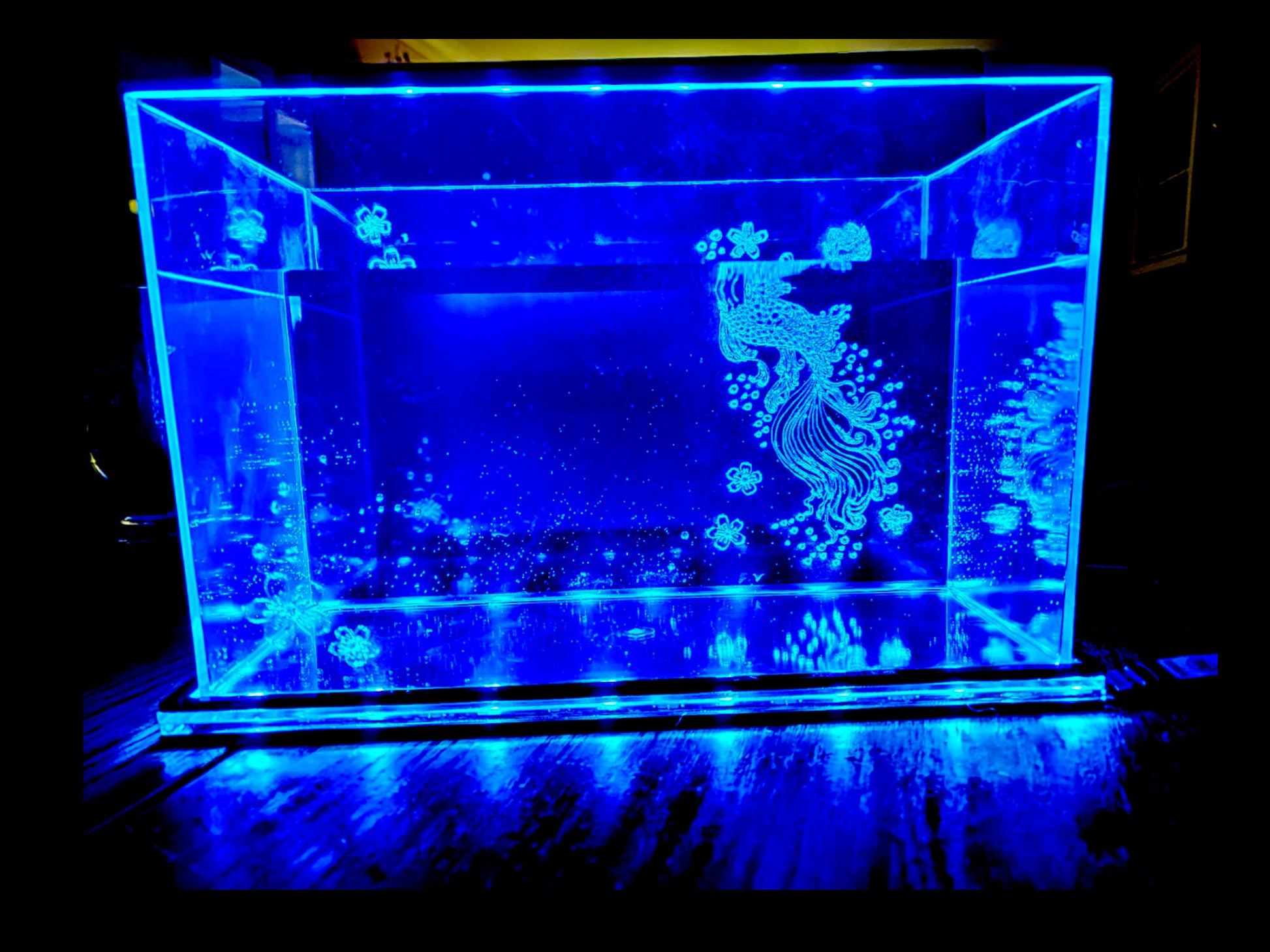 Custom, LED and Acrylic fish aquarium rack Aquariums 