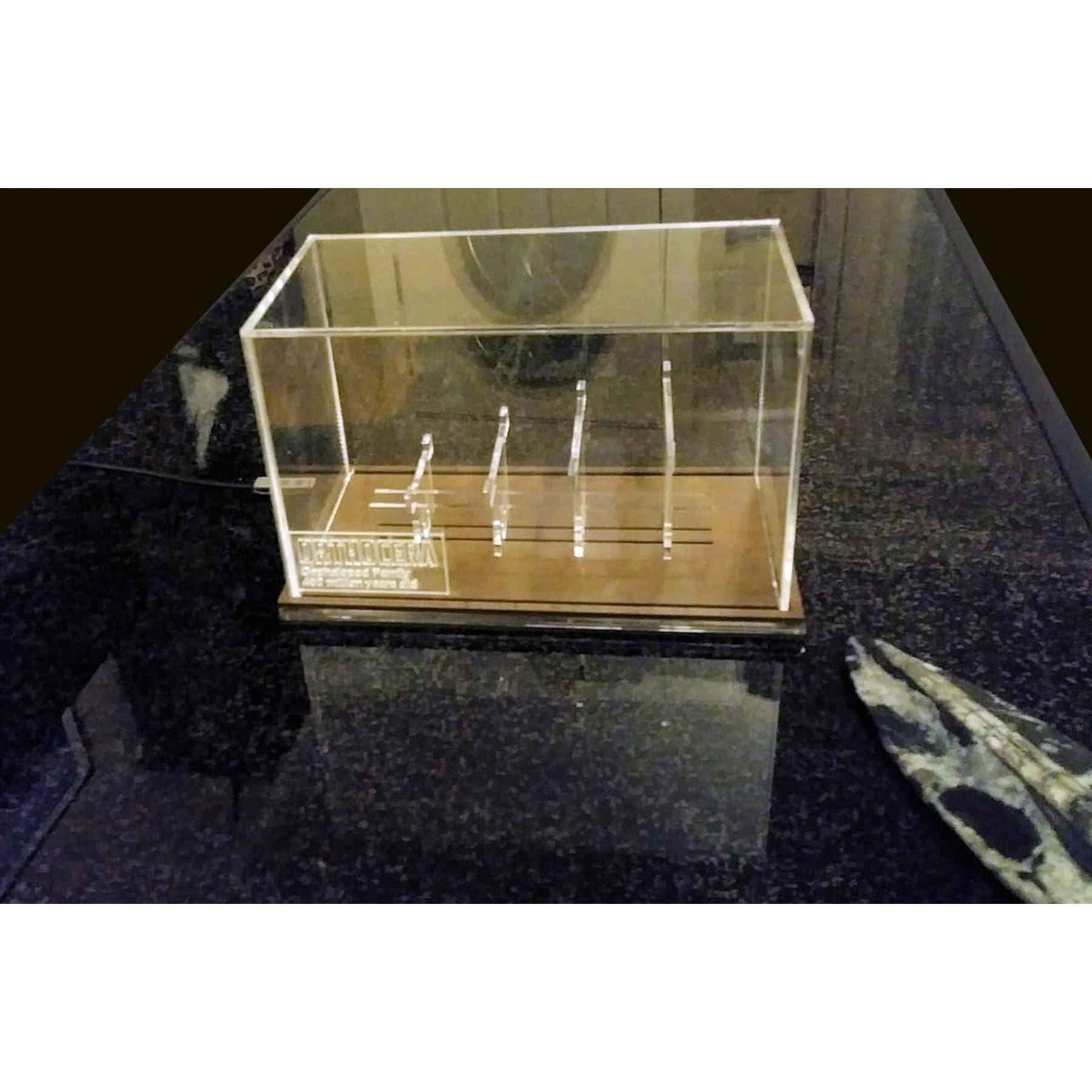 Acrylic Display Case for Fossils with Stand, custom made No LED version