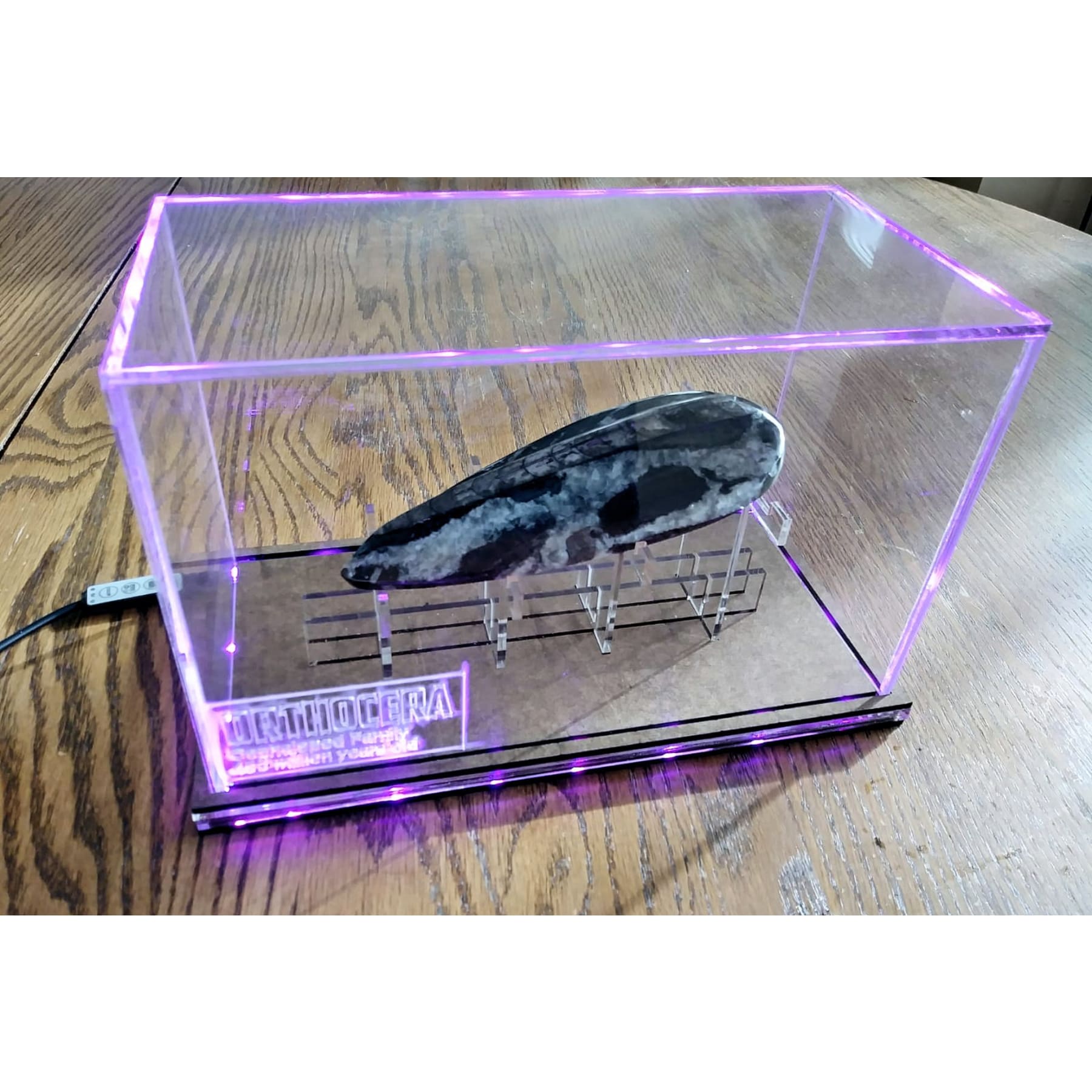 Acrylic LED Display Case for Fossils with Stand, custom made